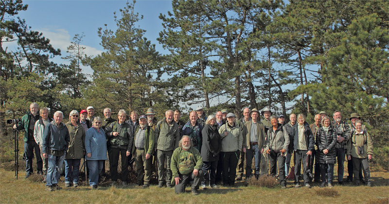 Makrofotograftrf p Melby Overdrev d. 6 maj 2017. Fotograf; Lars Andersen