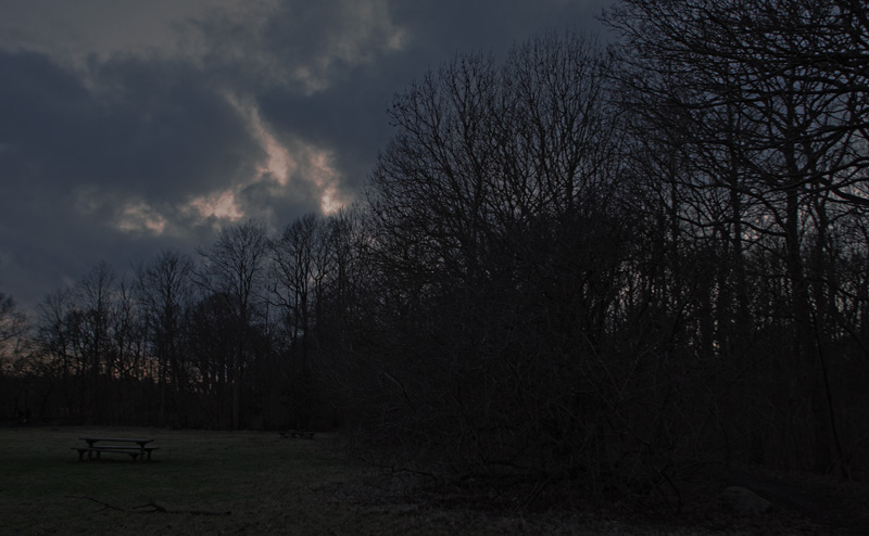 Kongelunden, Amager d. 28 februar 2017.Fotograf; Lars Andersen