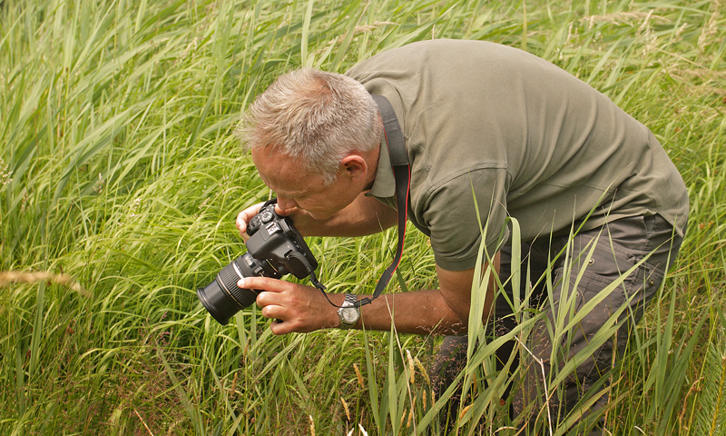 Mads Jakobsen fra "Den Danske naturfond" fotograferer Spejlbredpande han. Bøtø Plantage, Falster, Danmark d. 13 juli 2017. Fotograf; Lars Andersen