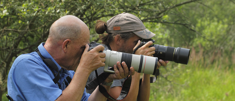 Erling Krabbe og Pav Johnsson fotograferer Ilia han. Pinseskoven, Vestamager d. 22 juli 2017. Fotograf; Lars Andersen