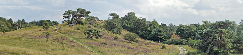 Heatherhill, Nordsjælland, Danmark d 3 august 2017. Fotograf; Lars Andersen