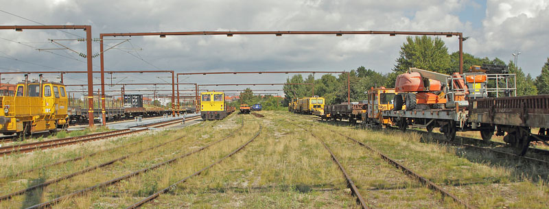 Mulig lokalitet for Rdplettet Blfugl, Belvedera, Kbenhavn, Danmark d. 28 august 2017. Fotograf; Lars Andersen