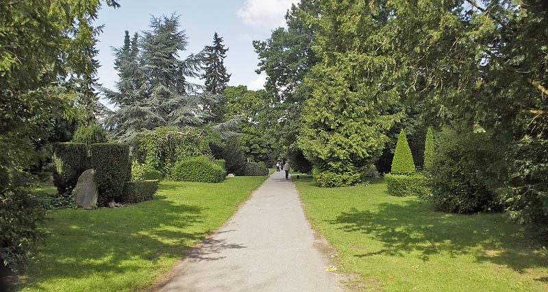 Lokalitet for Blåhale, Quercusia quercus. Assistens Kirkegård, Nørrebro, København d. 14 august 2017. Fotograf; Lars Andersen