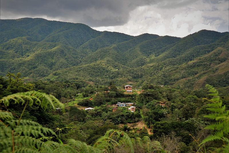 From the highlands near Caranavi, Yungas, Bolivia december 3, 2017. Photographer; Peter Mllmann