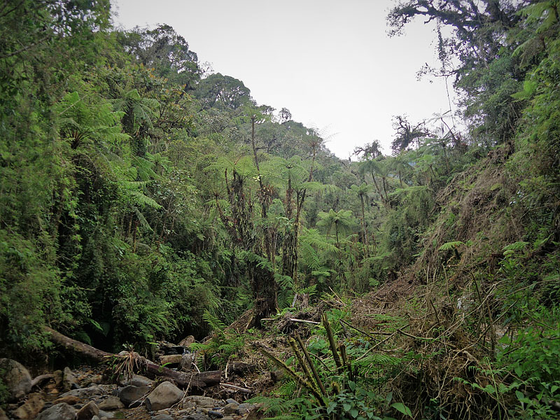 Ecovia, Coroico, Yungas, Bolivia december 16, 2017. Photographer; Peter Mllmann