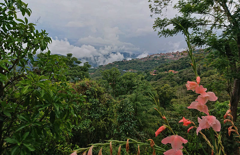 Morning wiew from my new private accommodation just outside of Coroico. Yungas, Bolivia december 14, 2017. Photographer; Peter Mllmann