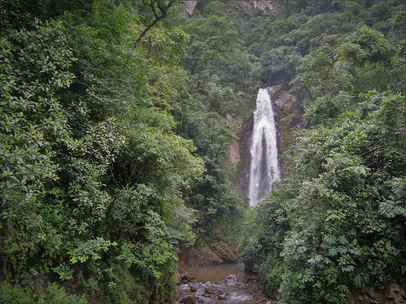 Rio Cahones, Caranavi, Yungas, Bolivia january 2, 2018. Photographer; Peter Mllmann