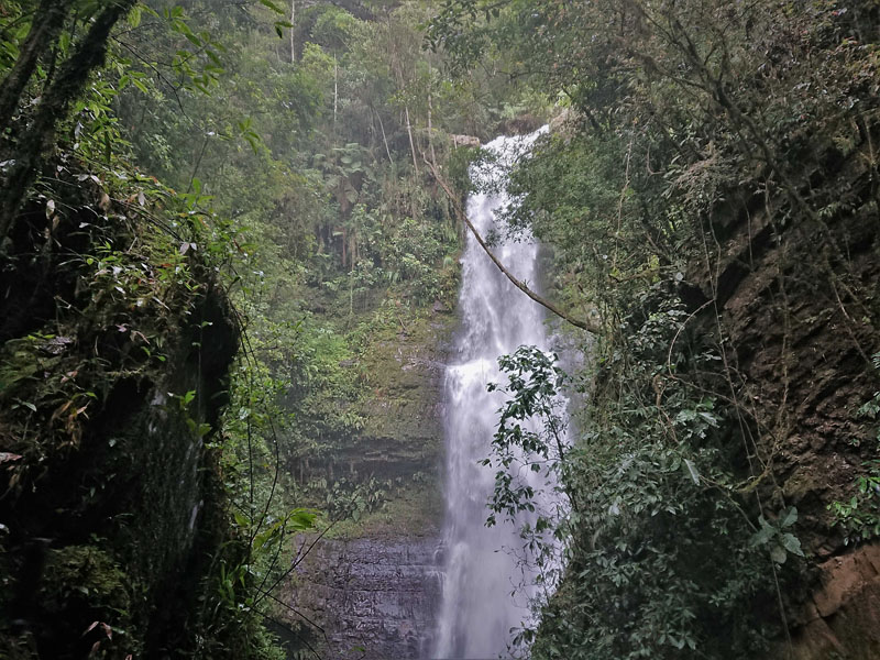 Rincon del tunki, highland near Caranavi, Yungas, Bolivia january 27, 2018. Photographer; Peter Mllmann