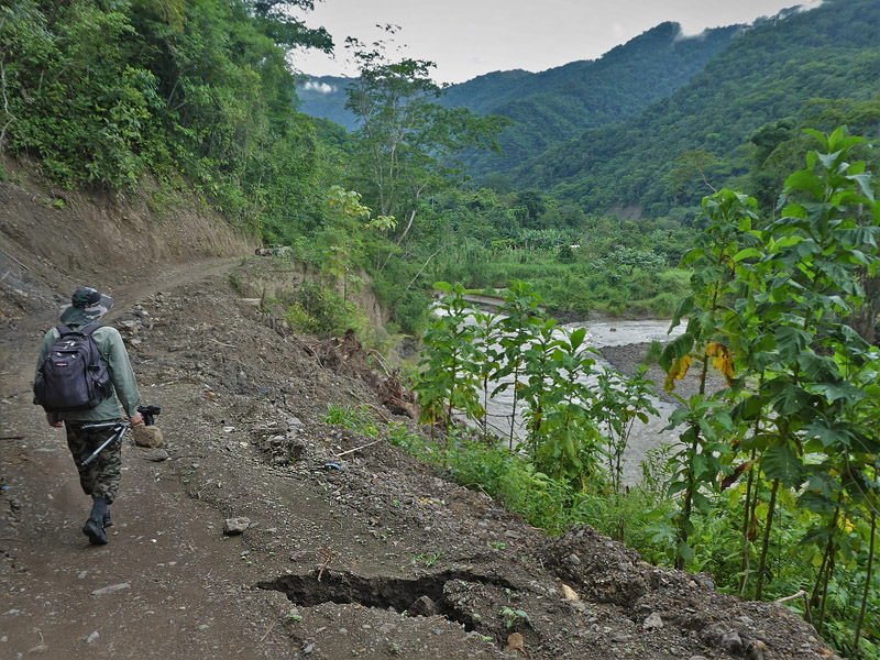 Peter Mllmann on the road to Mallacita, Caranavi, Yungas, Bolivia january 11, 2018. Photographer; Kirsten Matthiesen