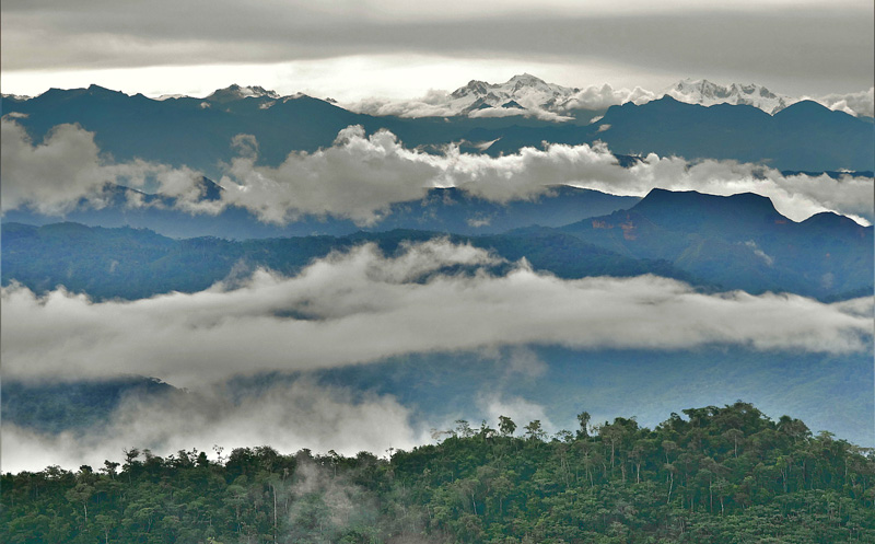 Caturapi, Yungas, Bolivia february 1, 2018. Photographer; Peter Mllmann