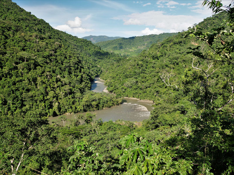 Rio Zongo, Caranavi, Yungas, Bolivia january 9, 2018. Photographer; Peter Mllmann